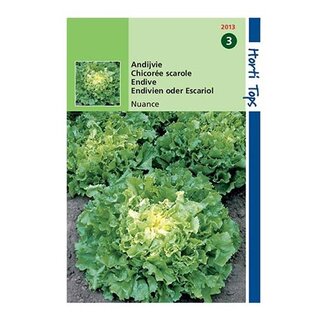 Horti Tops Andijvie Nuance - afbeelding 1