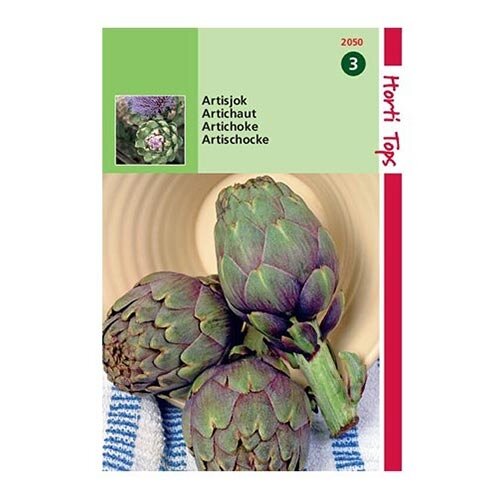 Horti Tops Artisjok Violet De Provence - afbeelding 1