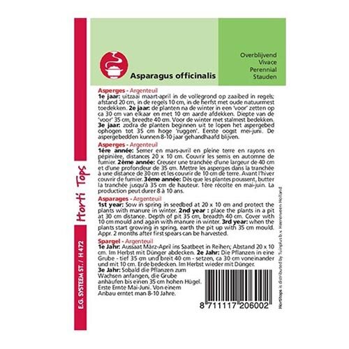 Horti Tops Asperges Argenteuil - afbeelding 2
