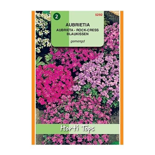 Horti Tops Aubrietia Hybrida Grandiflora - afbeelding 1