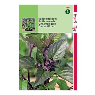 Horti Tops Basilicum Kaneelsmaak - afbeelding 1
