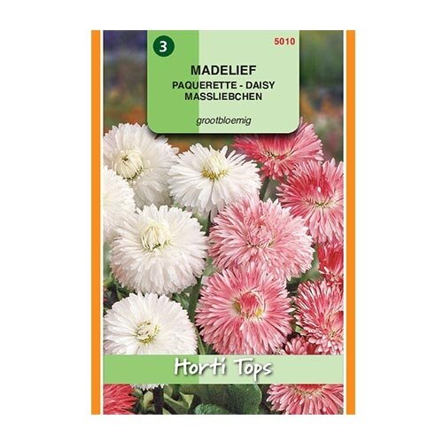 Horti Tops Bellis Perennis Monstrosa - afbeelding 1