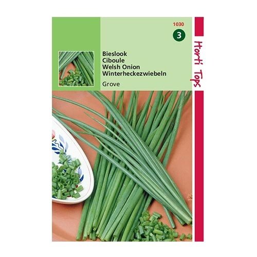 Horti Tops Bieslook Grove - afbeelding 1