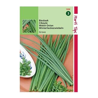 Horti Tops Bieslook Grove - afbeelding 1