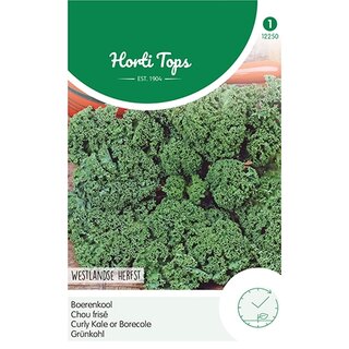 Horti Tops Boerenkool Westlandse Herfst, laat type - afbeelding 1