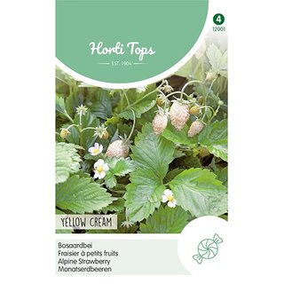 Horti Tops Bosaardbei - Yellow Cream - afbeelding 1