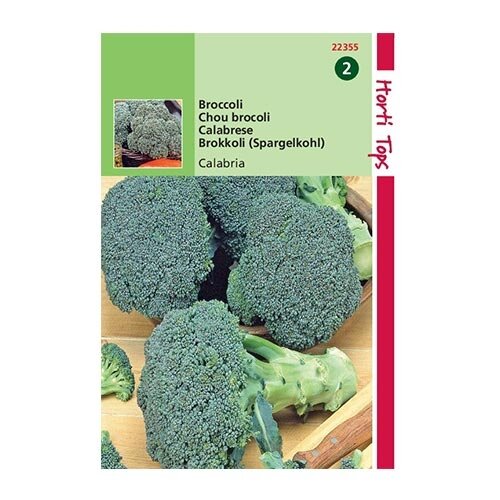 Horti Tops Broccoli Calabria - afbeelding 1