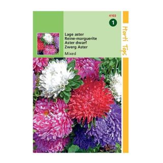 Horti Tops Callistephus Chinensis Dwergchrysanthemum - afbeelding 1