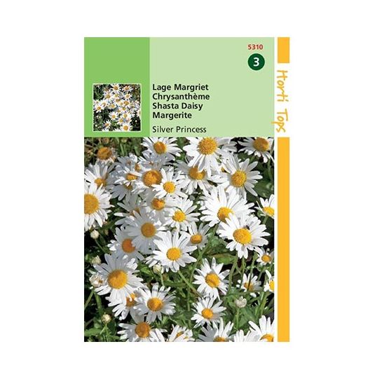 Horti Tops Chrysanthemum Max.Nanum Silver Princess - afbeelding 1