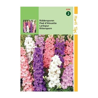 Horti Tops Delphinium Ajacis Hyacinthbloemig - afbeelding 1