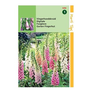 Horti Tops Digitalis Purpurea - afbeelding 1