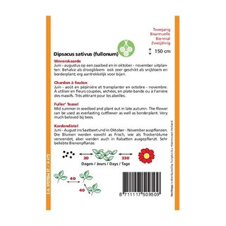 Horti Tops Dipsacus Sativus - Weverskaarde - afbeelding 2