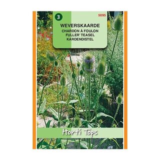 Horti Tops Dipsacus Sativus - Weverskaarde - afbeelding 1