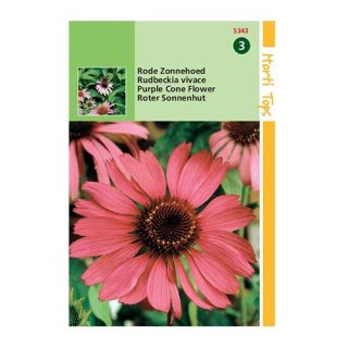 Horti Tops Echinacea (Rudbeckia) Purpurea - afbeelding 1