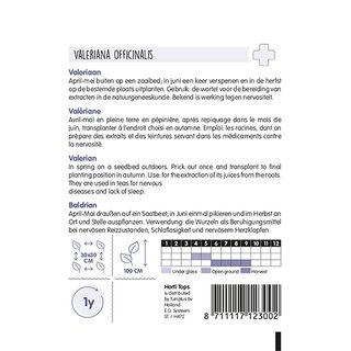 Horti Tops EcHorti Topse Valeriaan - afbeelding 2