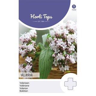 Horti Tops EcHorti Topse Valeriaan - afbeelding 1