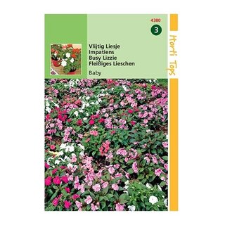 Horti Tops Impatiens Walleriana Baby - afbeelding 1