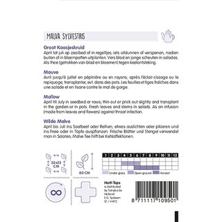 Horti Tops Kaasjeskruid - afbeelding 2