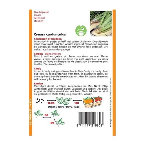 Horti Tops Kardonzen, Plein Blanc Inerme - afbeelding 2