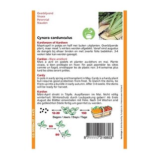 Horti Tops Kardonzen, Plein Blanc Inerme - afbeelding 2