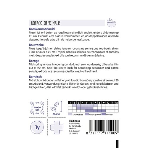 Horti Tops Komkommerkruid (Borage) - afbeelding 2