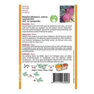 Horti Tops Koolrabi Blaro - afbeelding 2