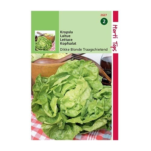 Horti Tops Kropsla Dikke Blonde Traagschietend - afbeelding 1