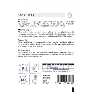 Horti Tops Kruizemunt - afbeelding 2