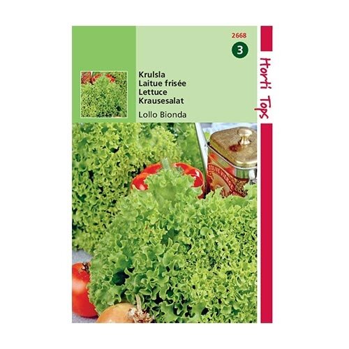 Horti Tops Krulsla Lollo Bionda - afbeelding 1