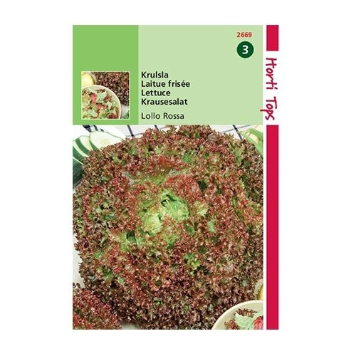 Horti Tops Krulsla Lollo Rossa - afbeelding 1