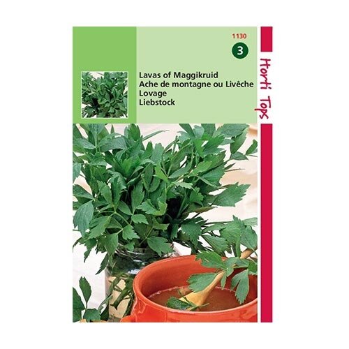 Horti Tops Lavas (maggiplant) - afbeelding 1