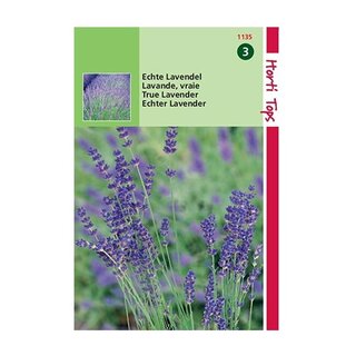 Horti Tops Lavendel - Lavandula Officinalis - afbeelding 1