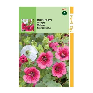 Horti Tops Malope Trifida Grandiflora - afbeelding 1