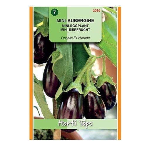 Horti Tops Mini-aubergine Ophelia F1 - afbeelding 1