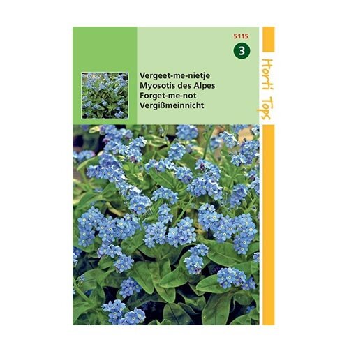 Horti Tops Myosotis alpestris Blue Ball - afbeelding 1