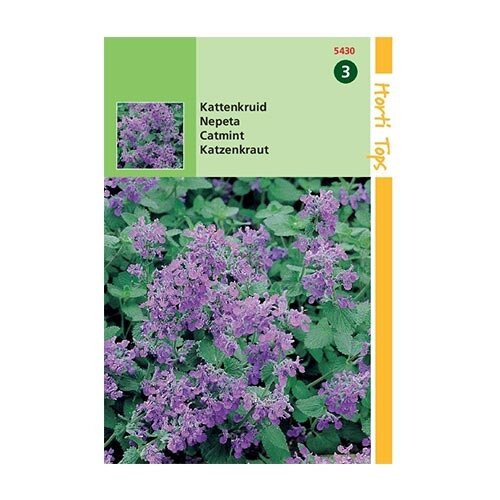 Horti Tops Nepeta mussinii (Kattekruid) - afbeelding 1