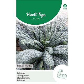 Horti Tops Palmkool Nero di Toscane - afbeelding 1