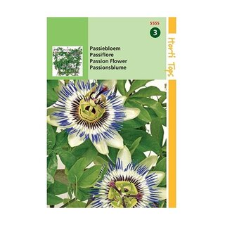 Horti Tops Passiflora caerulea (Passiebloem) - afbeelding 1