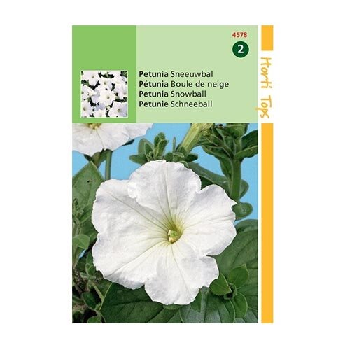 Horti Tops Petunia Sneeuwbal - afbeelding 1