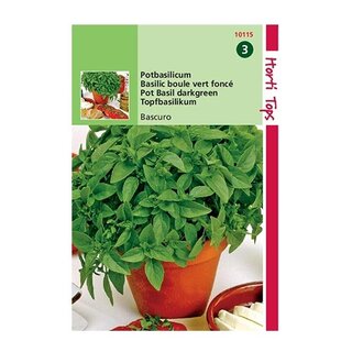 Horti Tops Pot-Basilicum Bascuro - afbeelding 1