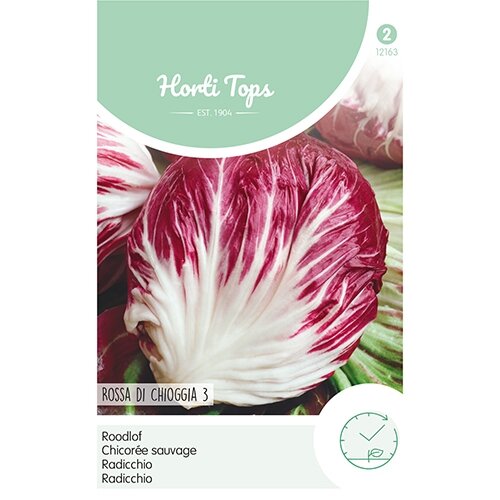 Horti Tops Radicchio Rossa Di Chioggia (Palla Rossa) - afbeelding 1