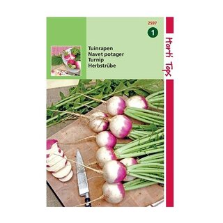 Horti Tops Rapen Ronde Witte Roodkop - afbeelding 1