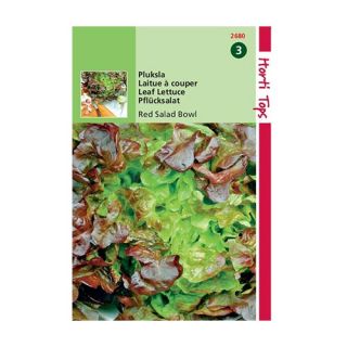 Horti Tops Red Salad Bowl - Rode Eikenbladsla - afbeelding 1