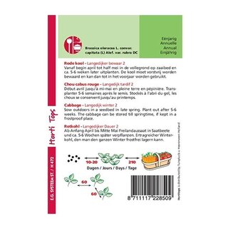 Horti Tops Rodekool Langedijker Bewaar 2 - afbeelding 2