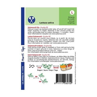 Horti Tops Salanova sla - Triplex RZ - afbeelding 2
