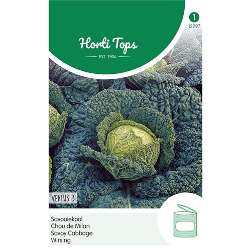 Horti Tops Savooiekool Vertus 3  (Grote Late Groene) - afbeelding 1