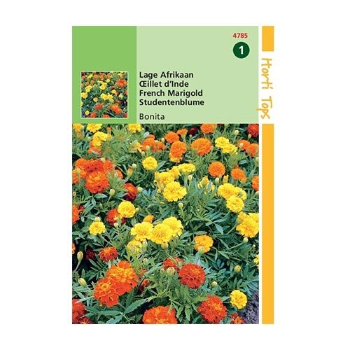 Horti Tops Tagetes patula nana Bonita dubbelbloemig - afbeelding 1