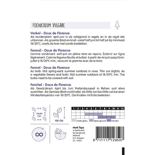 Horti Tops Venkel Doux de Florence - afbeelding 2