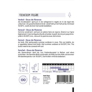 Horti Tops Venkel Doux de Florence - afbeelding 2