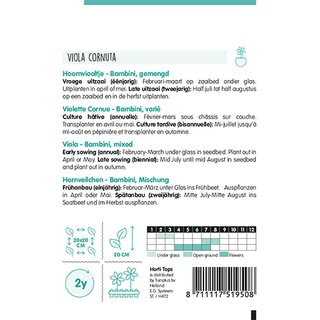 Horti Tops Viola, Hoornviooltje Bambini gemengd - afbeelding 2